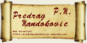 Predrag Mandoković vizit kartica